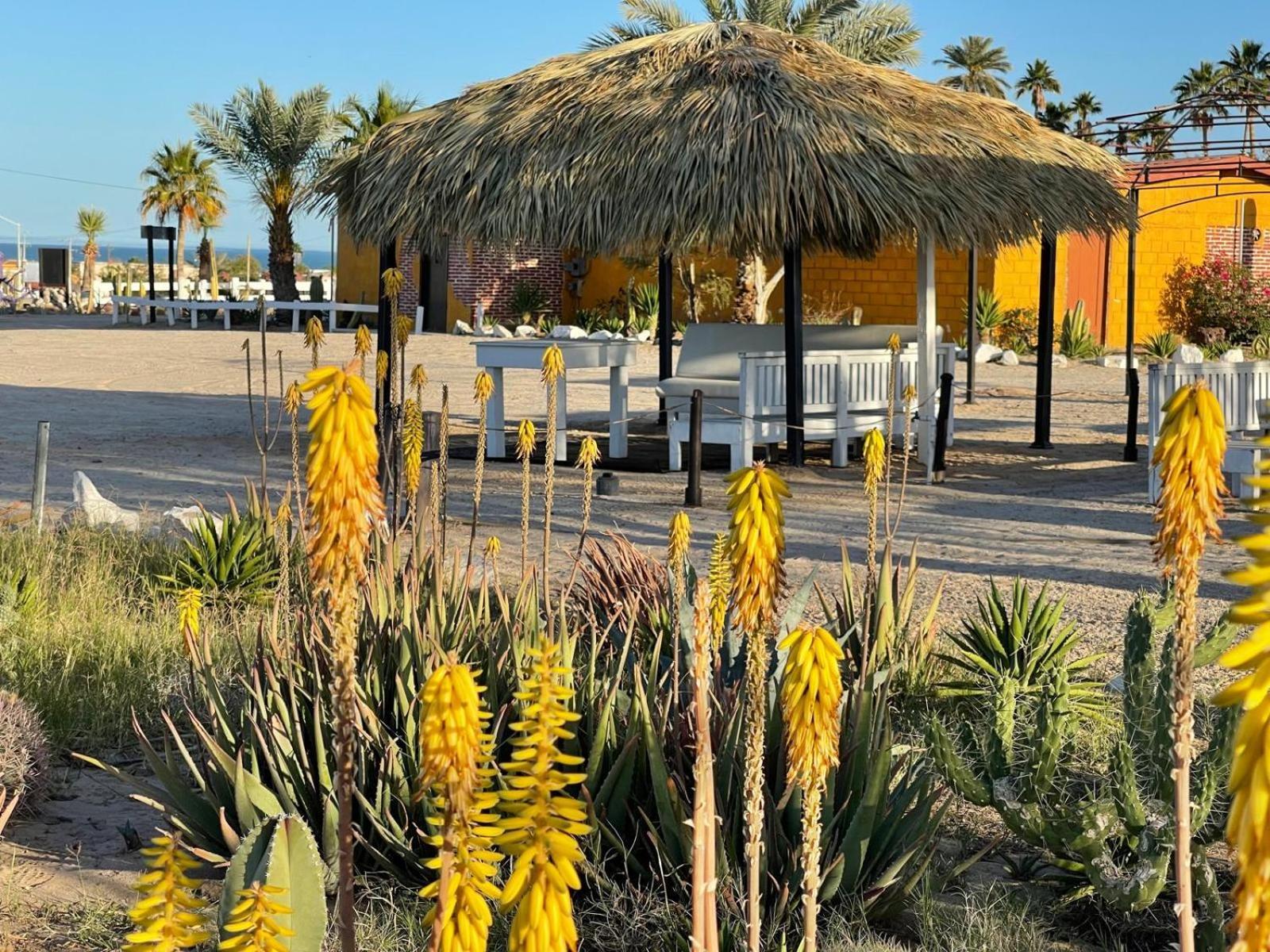 Hotel Las Palmas 圣费利佩 外观 照片
